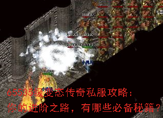 65535̬˽ԣĽ֮·Щرؼ