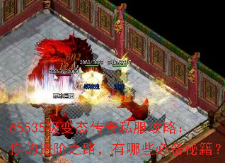 65535̬˽ԣĽ֮·Щرؼ