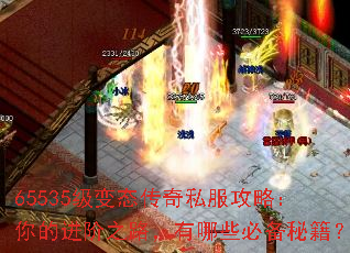 65535̬˽ԣĽ֮·Щرؼ