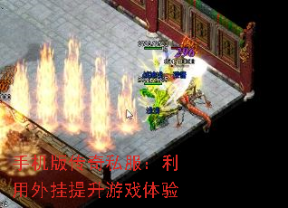 ֻ洫˽Ϸ