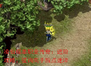ְҵ棺׹ԣѯָԽ