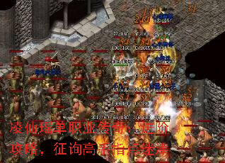 ְҵ棺׹ԣѯָԽ