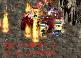 ͨ˽ٿȫ飺ŵ׹