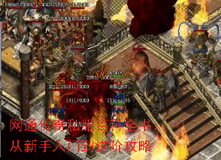ͨ˽ٿȫ飺ŵ׹