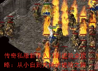 ˽ŵȫԣС׵еĽ֮·