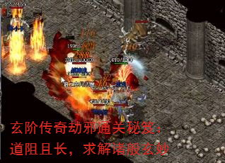 ״аͨţҳ