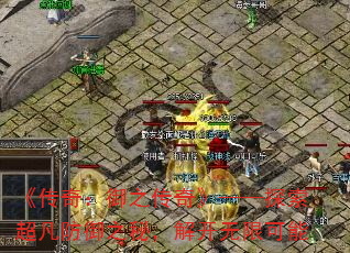棺֮桷֮̽أ⿪޿