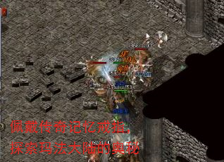 ָ̽귨½İ