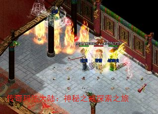 귨½֮֮̽