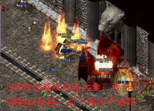 3DMϷԴȫ3GMưؼ𲽲·