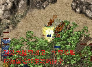 귨½ǣ˽8250̽