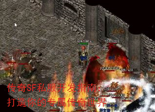 SF˽ָϣר