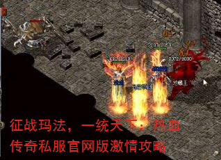 ս귨һͳ£Ѫ˽漤鹥
