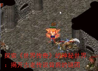 ̽紫桷磺ҿϴ˵