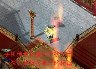 ֻ˽аǰʮؼ
