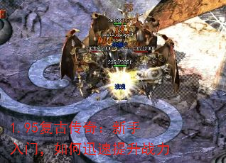 1.95Ŵ棺ţѸս