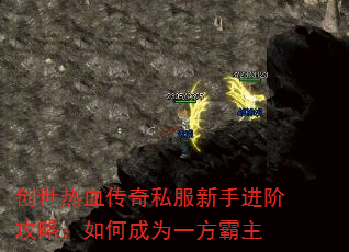 Ѫ˽ֽ׹ԣγΪһ