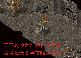 ¹ɳ֮;˽칥Դ