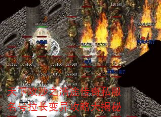 ¹ɳ֮;˽칥Դ