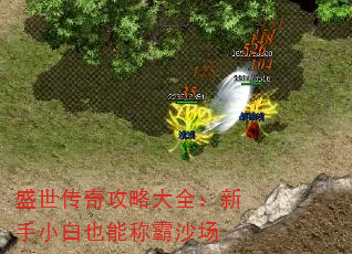 ʢ湥ԴȫСҲܳưɳ