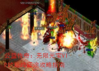 洫棺ԪVIP۷;ָ