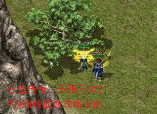 洫棺ԪVIP۷;ָ
