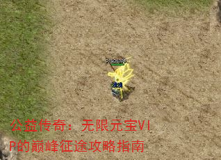 洫棺ԪVIP۷;ָ