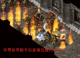 ҳʴ