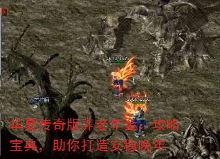 Ĵ𣺹Ա䣬찲