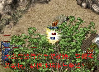 װؼװݺɳ˭棿