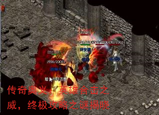 壺Ӣۺϻ֮ռ֮ս