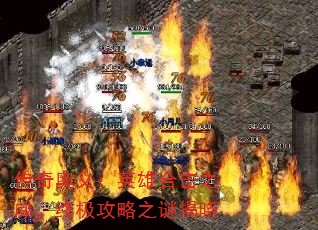 壺Ӣۺϻ֮ռ֮ս