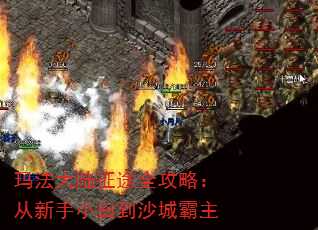 귨½;ȫԣС׵ɳǰ