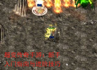 䴫Σָ׼