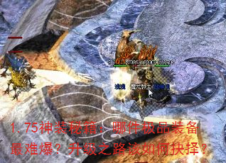 1.75װؼļƷװѱ֮·ξ