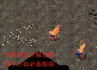 ϷԣСױرָ