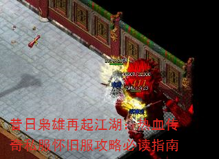 𽭺Ѫ˽ɷԱضָ