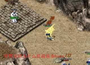 淨ʦΪʲôԽɱboss