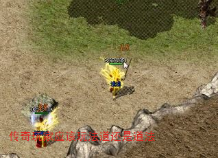 Ӧ淨ǵ