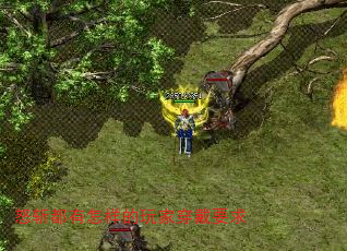 ŭնҴҪ