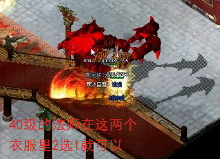 40ķʦ·2ѡ1Ϳ