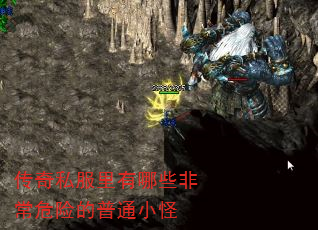 ˽ЩǳΣյͨС