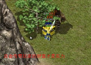 ҵĲƸʵ