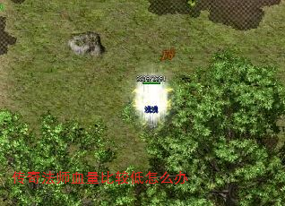 淨ʦѪȽϵô