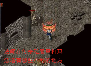 ʦڴ˽귨Щĵط