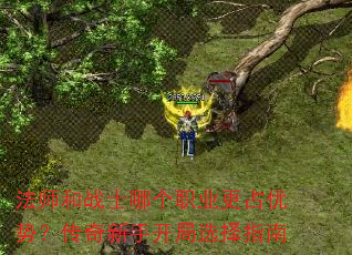 ʦսʿĸְҵռƣֿѡָ