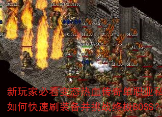 ұؿ̬Ѫ浥ְҵ˽οˢװսռBOSS