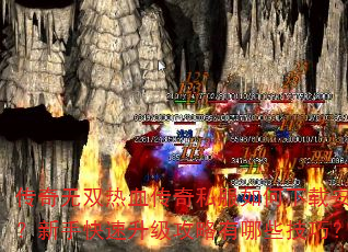 ˫Ѫ˽ذװֿЩɣ