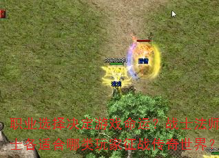 ְҵѡϷˣսʿʦʿʺս磿