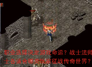 ְҵѡϷˣսʿʦʿʺս磿